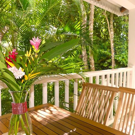 Au Jardin Des Colibris Ecolodge&Spa 德赛 外观 照片