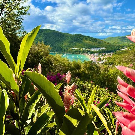 Au Jardin Des Colibris Ecolodge&Spa 德赛 外观 照片