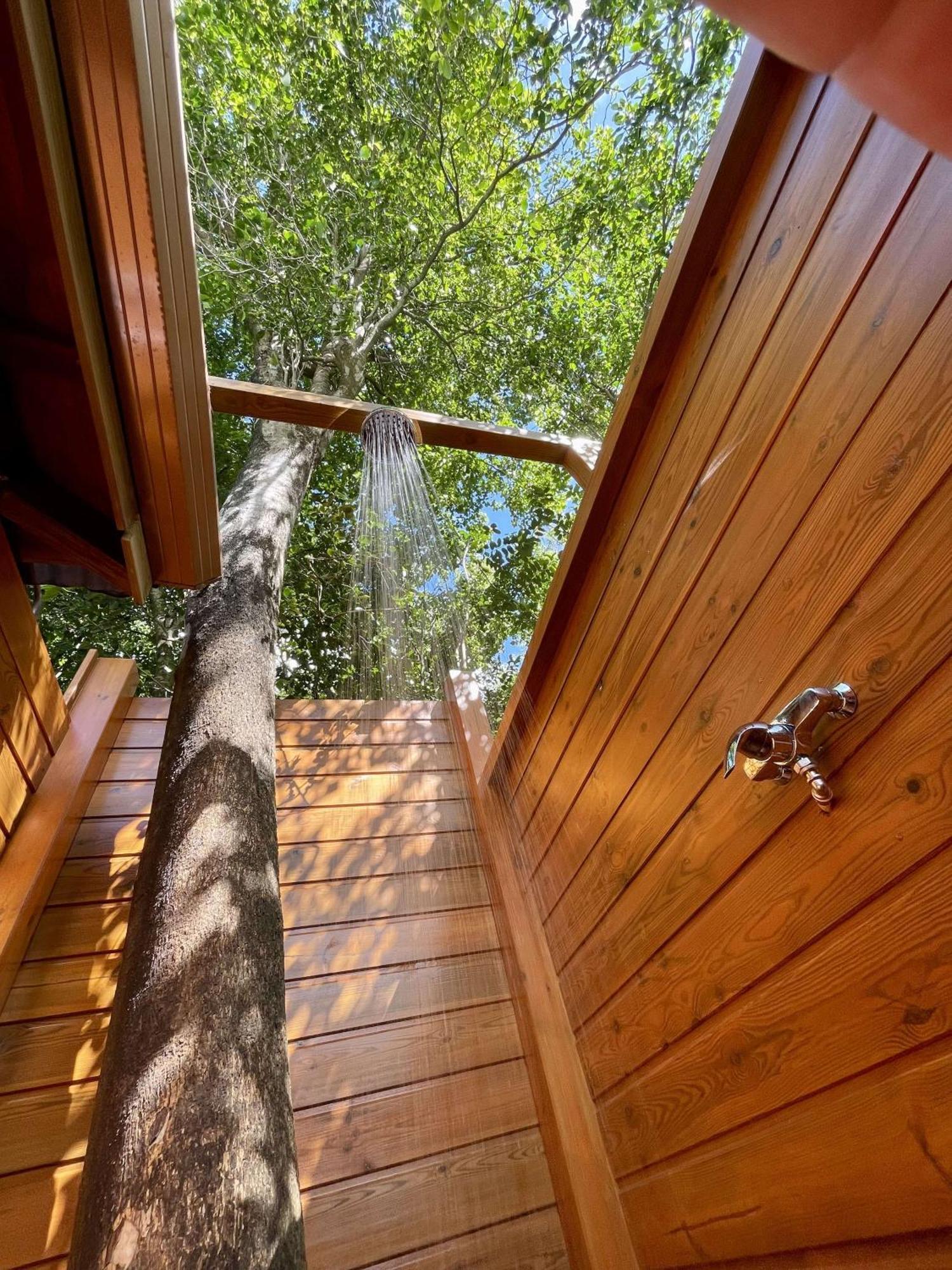 Au Jardin Des Colibris Ecolodge&Spa 德赛 外观 照片